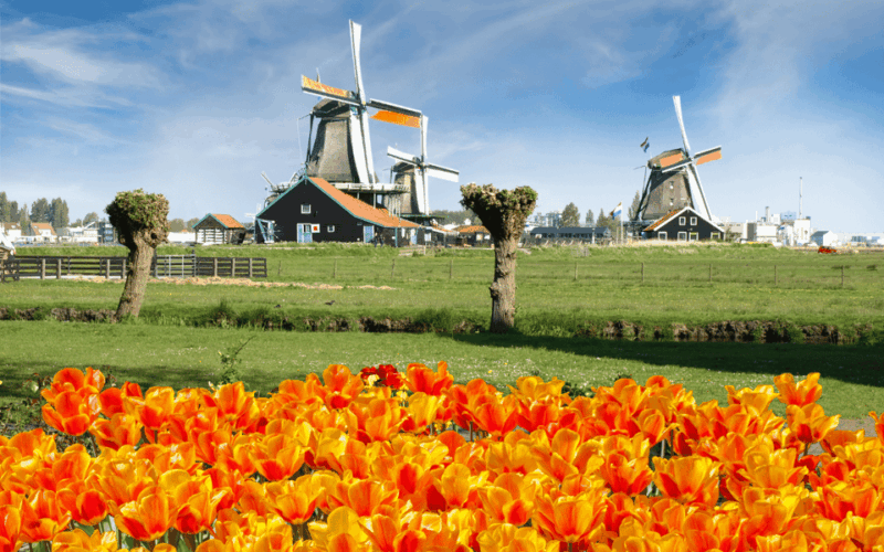 amsterdam-keukenhof-and-zaanse-schans-windmills-day-trip