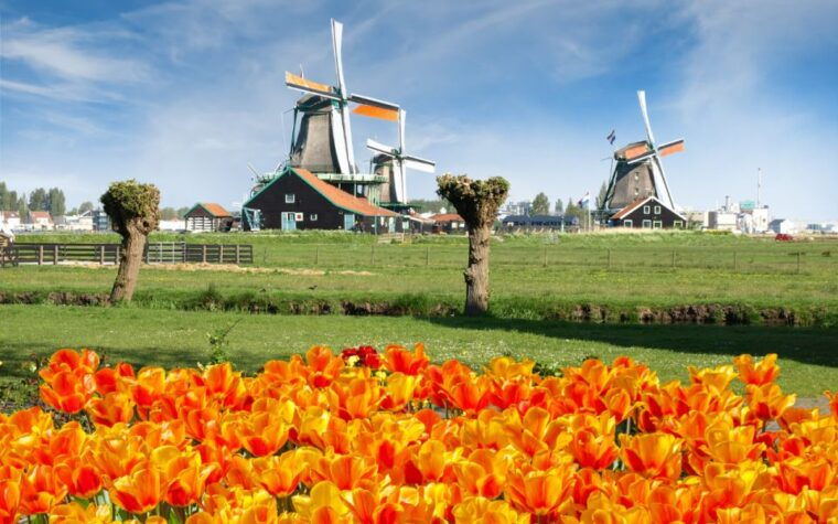 amsterdam-keukenhof-and-zaanse-schans-windmills-day-trip