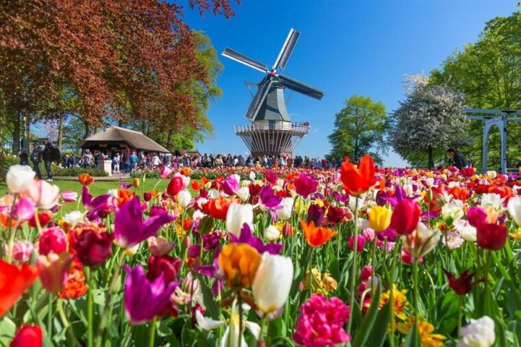 amsterdam-keukenhof-and-zaanse-schans-windmills-day-trip
