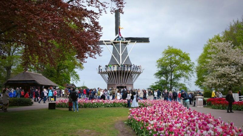 amsterdam-keukenhof-countryside-with-private-driver