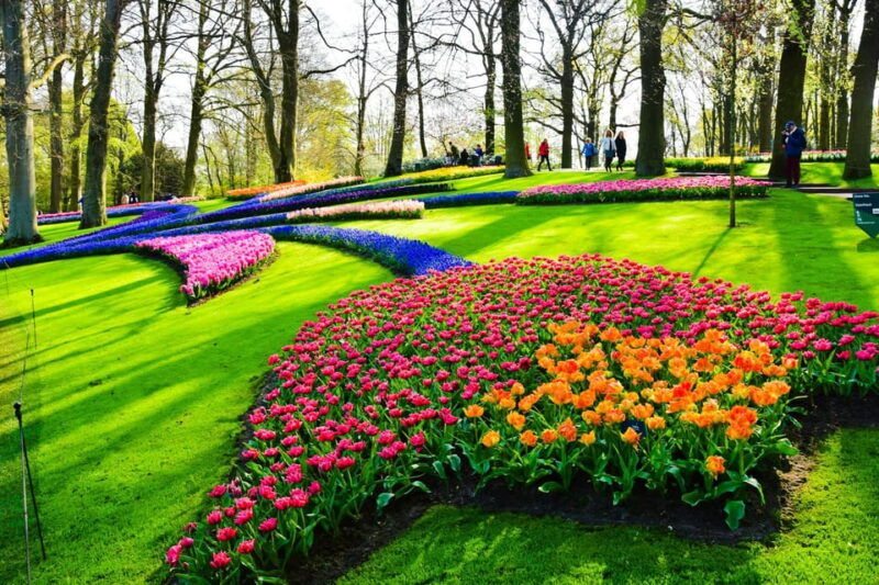 amsterdam-keukenhof-countryside-with-private-driver