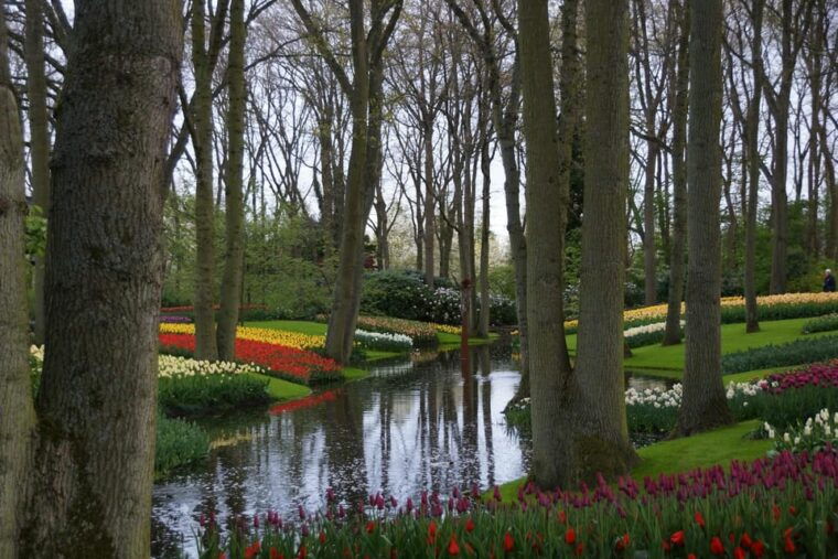 amsterdam-keukenhof-countryside-with-private-driver