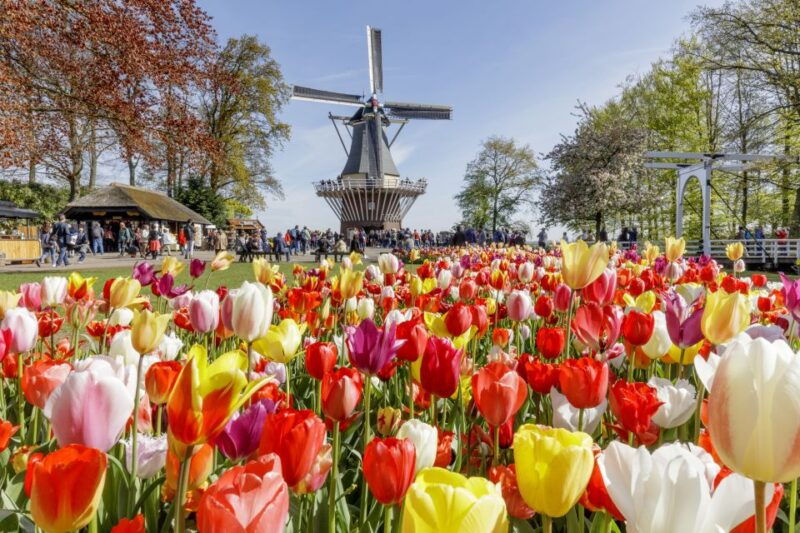 amsterdam-keukenhof-dutch-countryside-small-group-tour