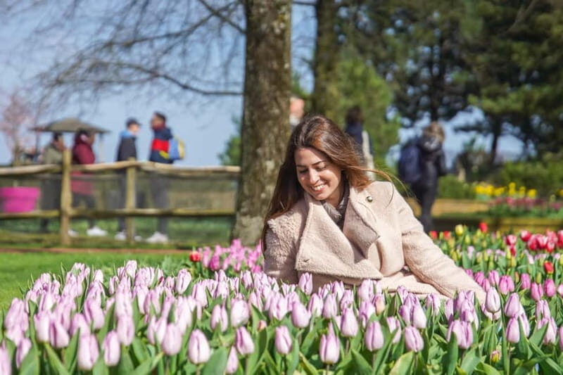 Amsterdam: Keukenhof Entry & Shuttlebus with Flexible Return - Who Is This Tour Best For?