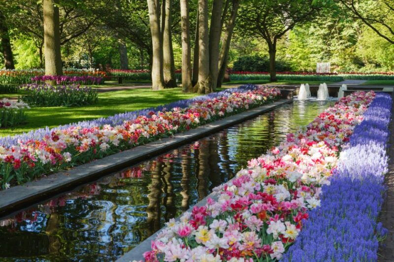 amsterdam-keukenhof-gardens-guided-tour-spanish-and-english