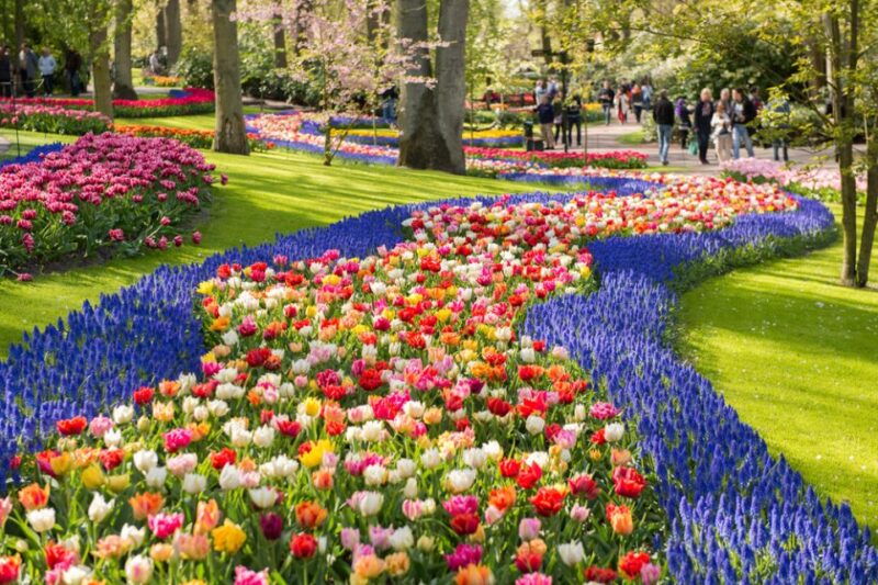 amsterdam-keukenhof-gardens-guided-tour-spanish-and-english