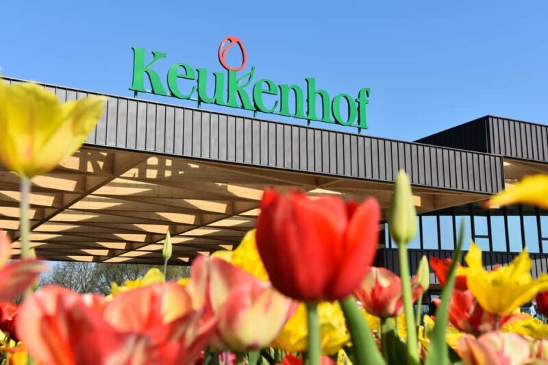 Amsterdam: Keukenhof Gardens Half Day Guided Tour - The Experience: What to Expect