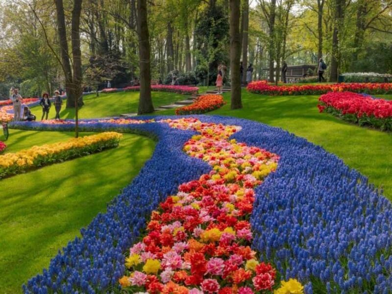 Amsterdam: Keukenhof Gardens & Tulip Fields Private Tour - An In-Depth Look at the Tour