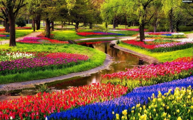 Amsterdam: Keukenhof Gardens & Tulip Fields Private Tour - Frequently Asked Questions