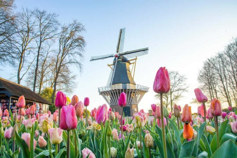 Amsterdam: Keukenhof Guided Tour and Flower Parade April 18 - What to Expect from the Tour