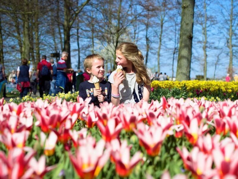 amsterdam-keukenhof-ticket-and-roundtrip-shuttle-transfer