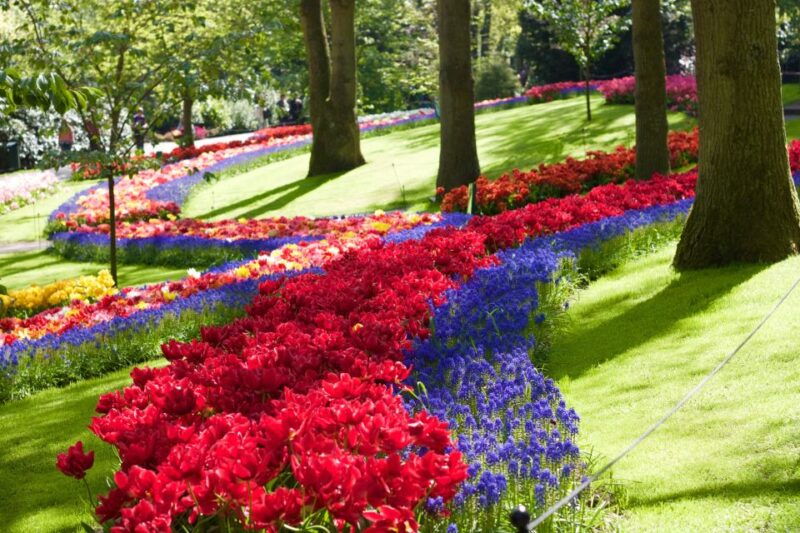 amsterdam-keukenhof-ticket-with-shuttle-bus-canal-cruise