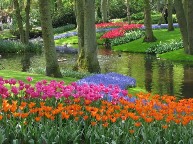amsterdam-keukenhof-ticket-with-shuttle-bus-canal-cruise
