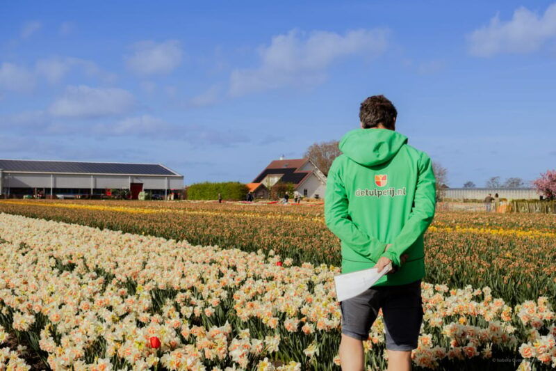 amsterdam-keukenhof-tulip-farm-full-day-tour-with-cruise