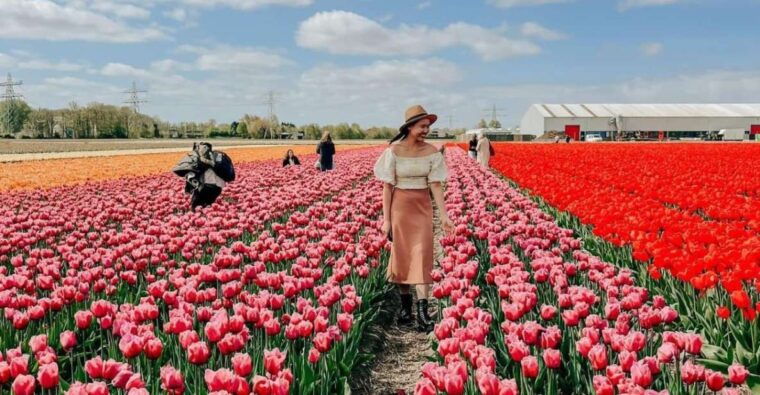amsterdam-keukenhof-tulip-farm-full-day-tour-with-cruise