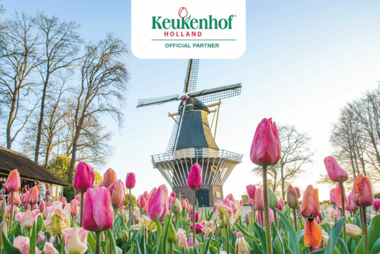 amsterdam-keukenhof-tulip-farm-full-day-tour-with-cruise