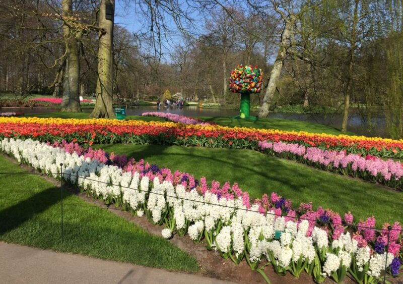 amsterdam-keukenhof-tulip-garden-and-giethoorn-experience