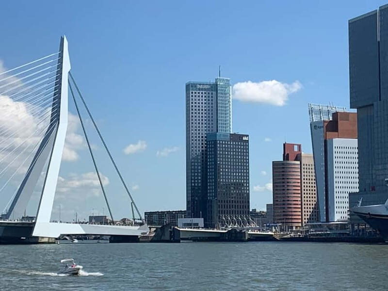 Amsterdam: Kinderdijk, Euromast, Delft and Den Haag Day Tour - The Hague: Politics and History