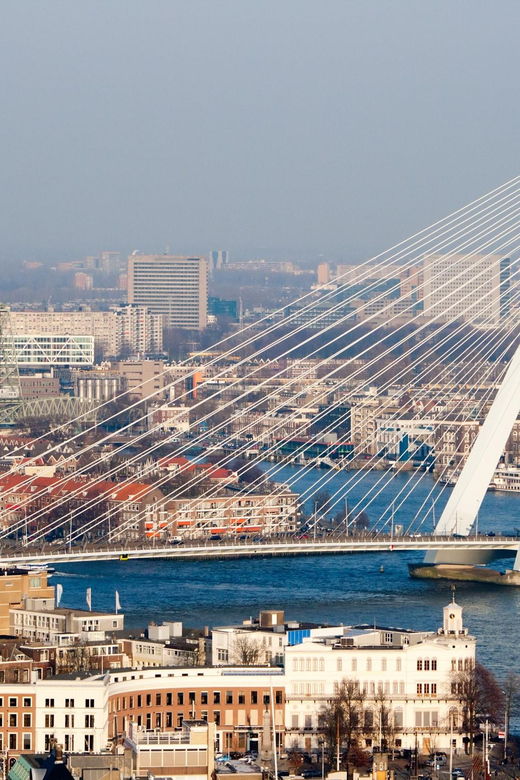 amsterdam-kinderdijk-euromast-delft-and-den-haag-day-tour