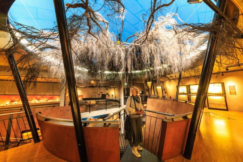 amsterdam-kroller-muller-n-p-the-hoge-veluwe-tour