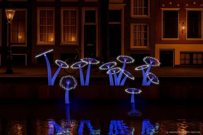 Amsterdam: Light Festival Cruise with Optional Wine & Snacks - Is It Worth the Price?