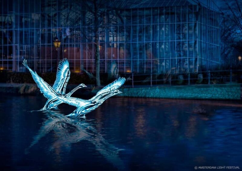 Amsterdam: Light Festival Cruise with Optional Wine & Snacks - Final Thoughts