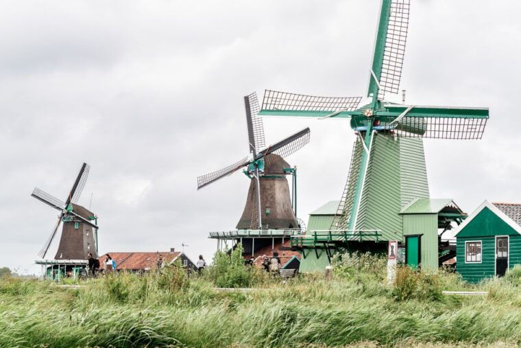 amsterdam-live-guided-zaanse-schans-cheese-tasting-tour