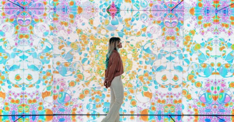 amsterdam-moco-museum-entrance-tickets-with-banksy-more