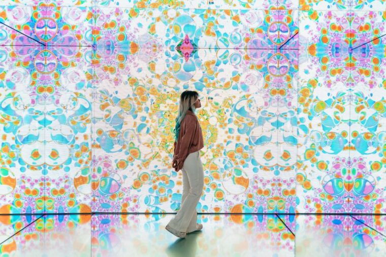 amsterdam-moco-museum-entrance-tickets-with-banksy-more