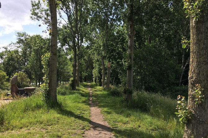 amsterdam-north-bike-tour
