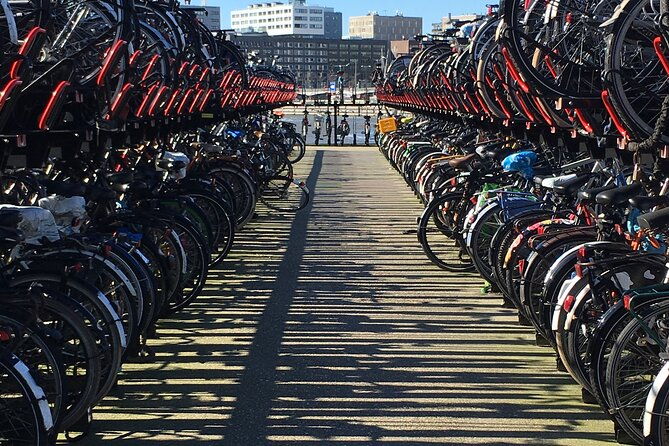 amsterdam-north-bike-tour