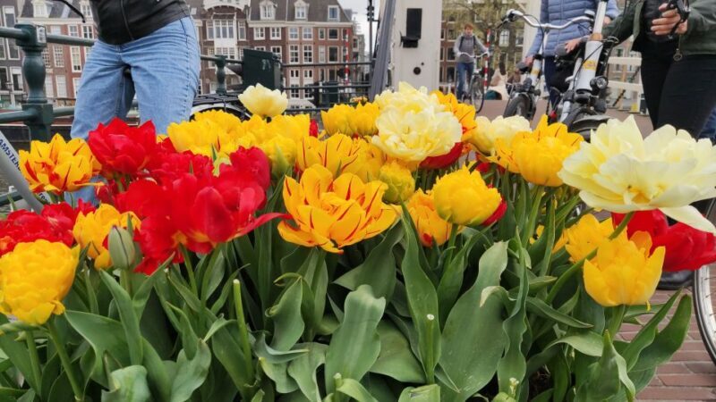 Amsterdam: Off the Beaten Path Bike Tour in French - FAQs