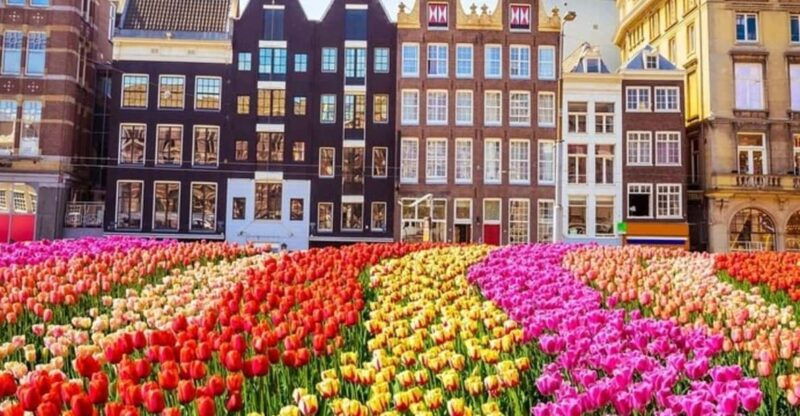 amsterdam-red-light-district-walking-tour-3