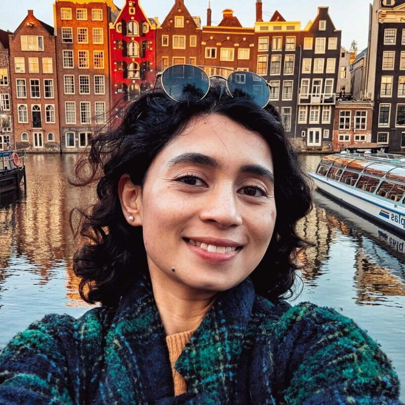 Amsterdam: Rijksmuseum Guided Tour incl Entrance Ticket - An In-Depth Look at the Rijksmuseum Guided Tour