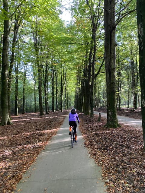 amsterdam-road-bike-rental-with-self-guided-tour