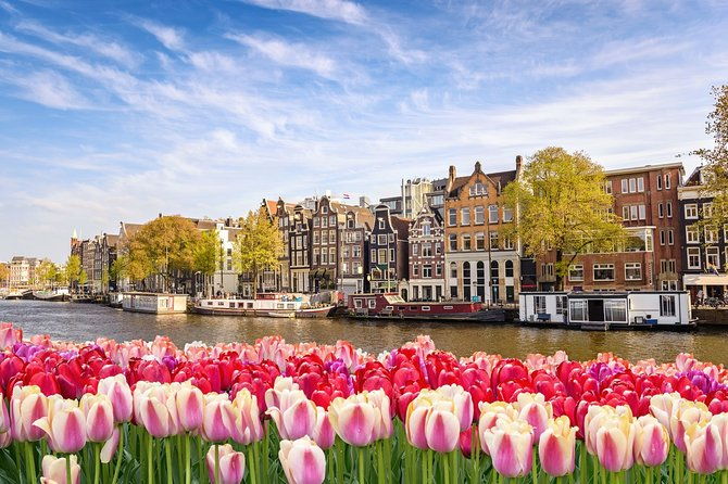amsterdam-schiphol-airport-ams-transfer-service