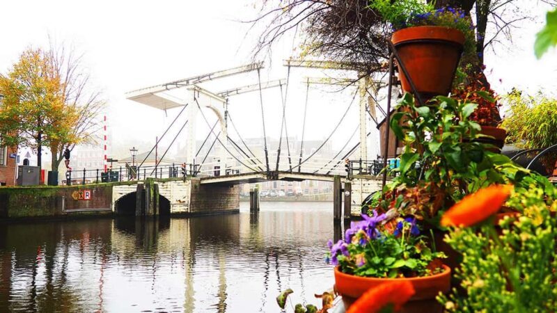 Amsterdam: Small-Group Hidden Gems Tour - Starting Point and What to Expect