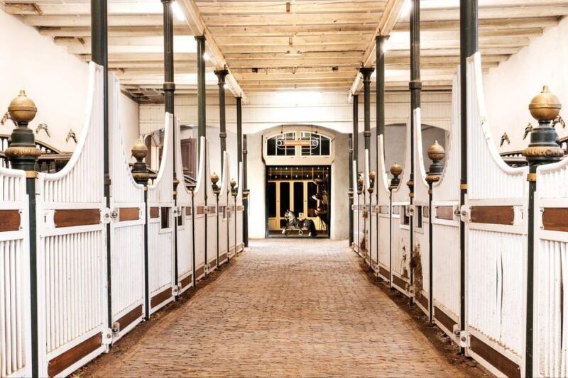 amsterdam-the-hollandsche-manege-stables-entry-ticket