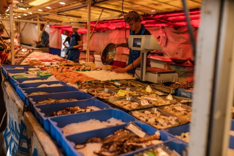 amsterdam-to-haarlem-private-day-trip-experience