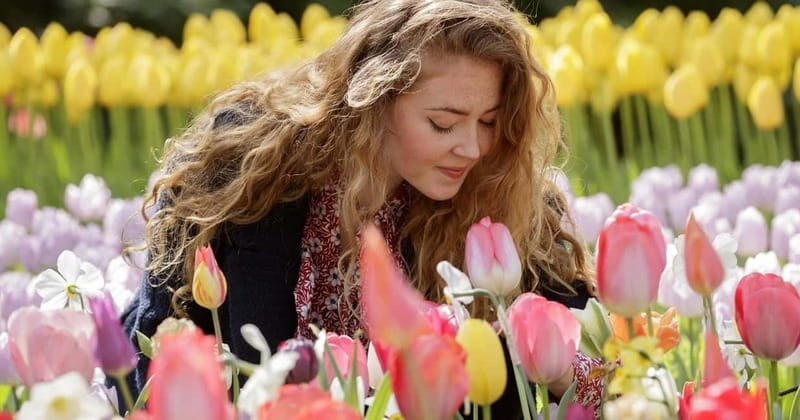Amsterdam: Tulip Farm Visit, Keukenhof, and Windmill Cruise - Key Points