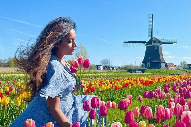 Amsterdam: Tulip Fields Day Tour with Lunch and a Windmill Visit - The Value of This Tour