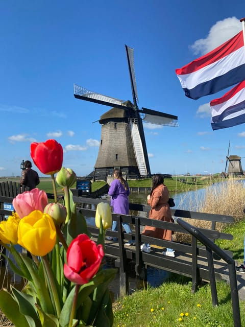 amsterdam-tulip-fields-day-tour-with-lunch-windmill