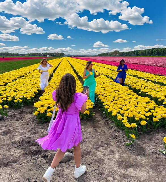 amsterdam-tulip-fields-day-tour-with-lunch-windmill