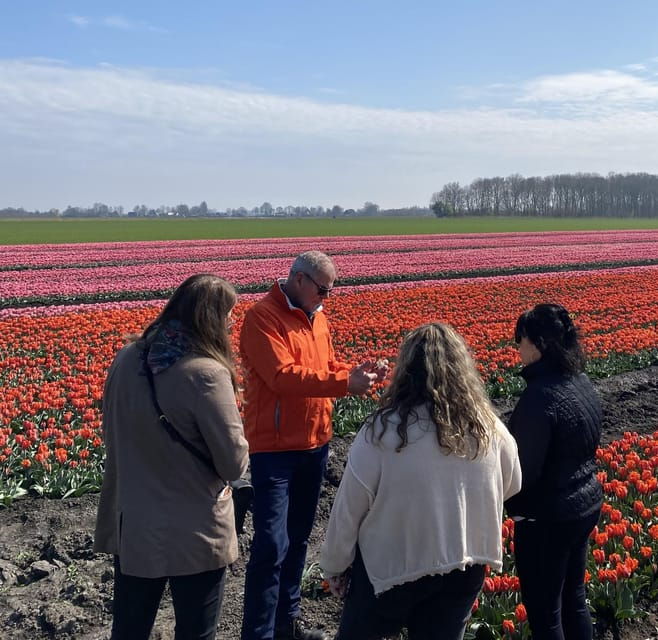 amsterdam-tulip-fields-day-tour-with-lunch-windmill
