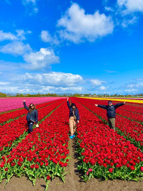 amsterdam-tulip-fields-day-tour-with-lunch-windmill