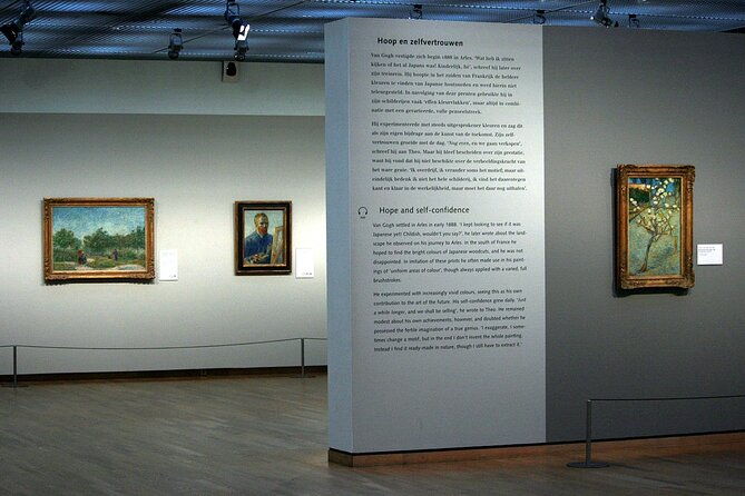 amsterdam-van-gogh-museum-entrance-and-guided-tour