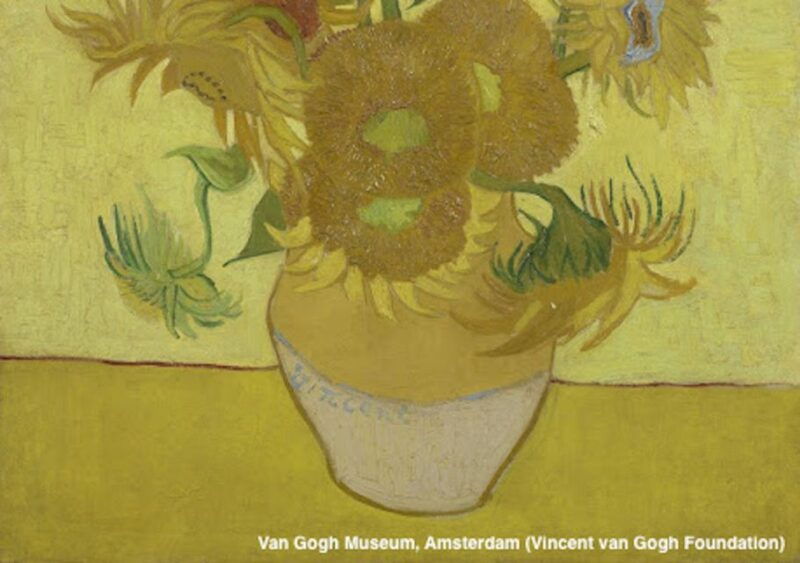 amsterdam-van-gogh-museum-guided-tour-with-entry