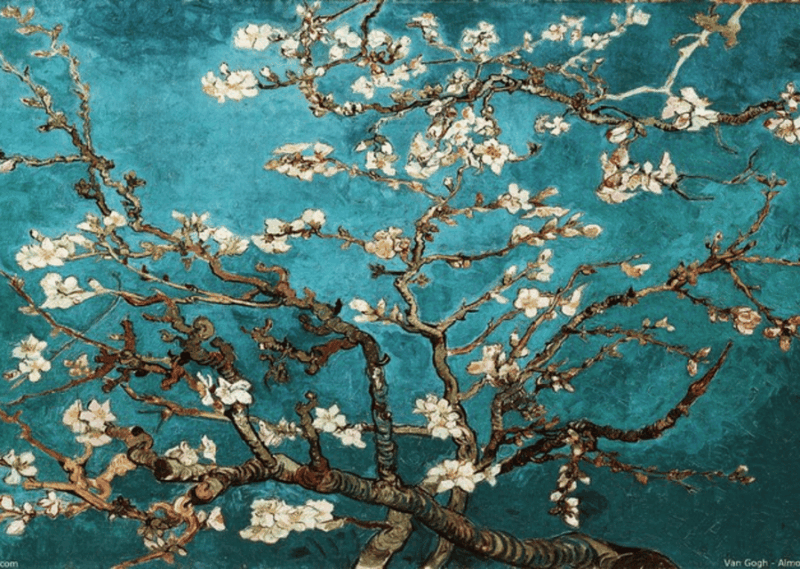 amsterdam-van-gogh-museum-private-guided-tour-with-expert