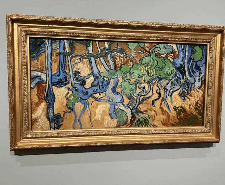 amsterdam-van-gogh-museum-private-guided-tour-with-expert