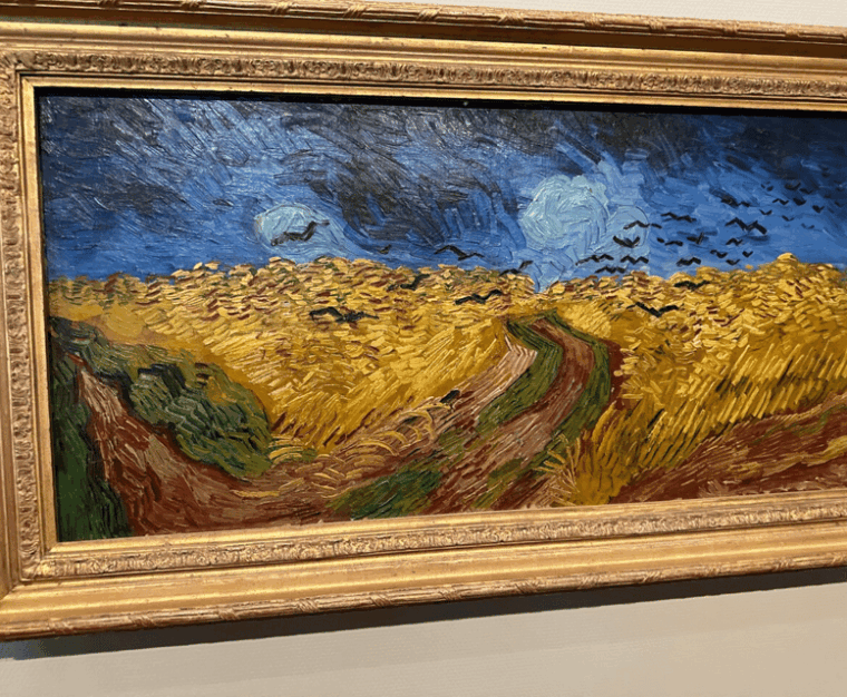 amsterdam-van-gogh-museum-private-guided-tour-with-expert